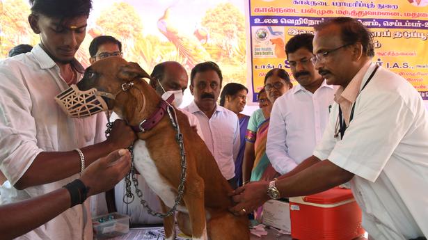 Free anti-rabies vaccination camp held