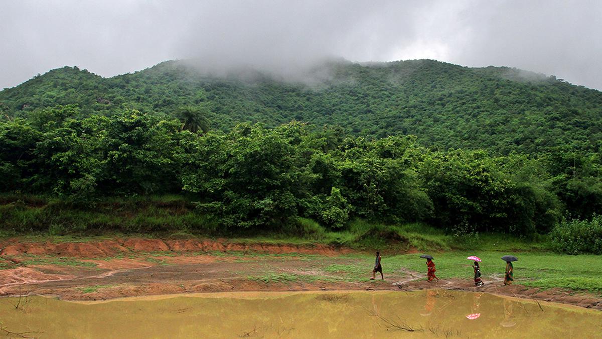 Odisha government withdraws controversial ‘deemed forest’ order