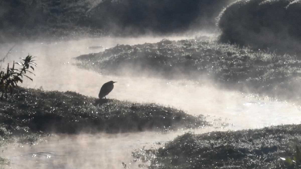 First onset of ground frost in the Nilgiris