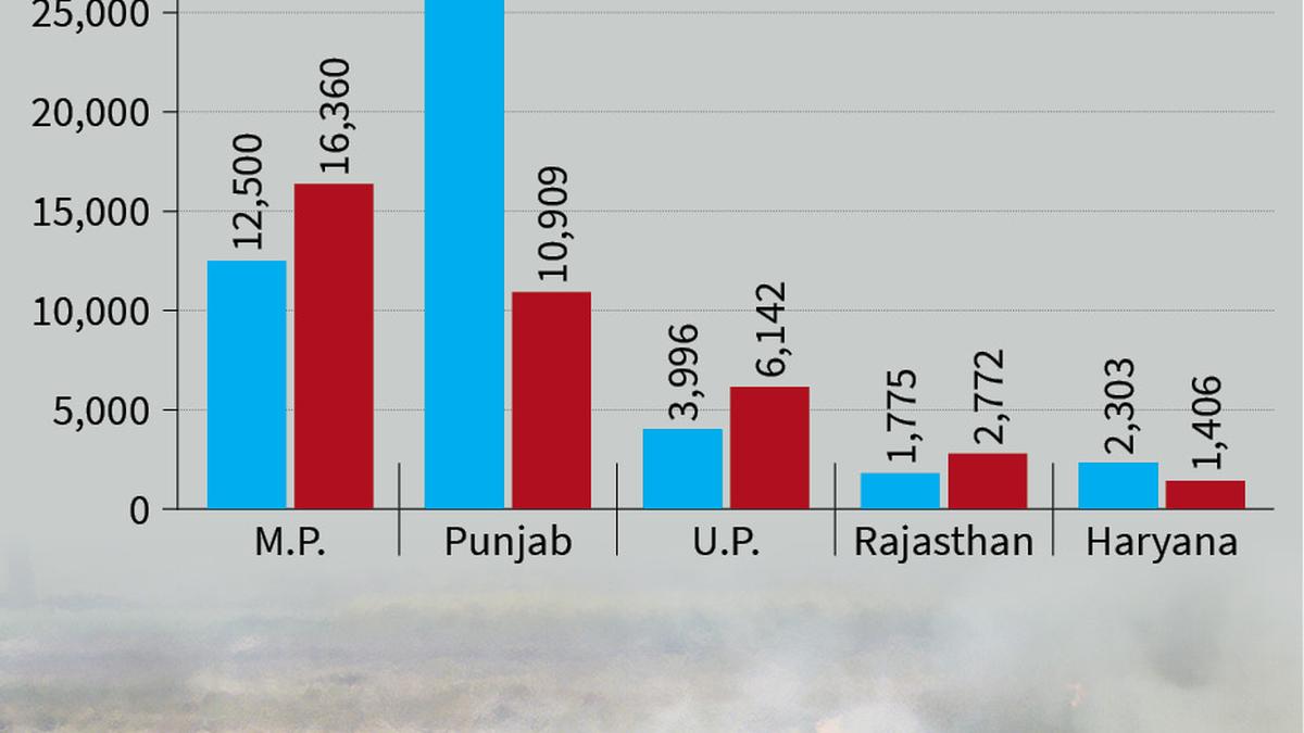 Farm fires rise in M.P., drop in Punjab, Haryana: IARI data