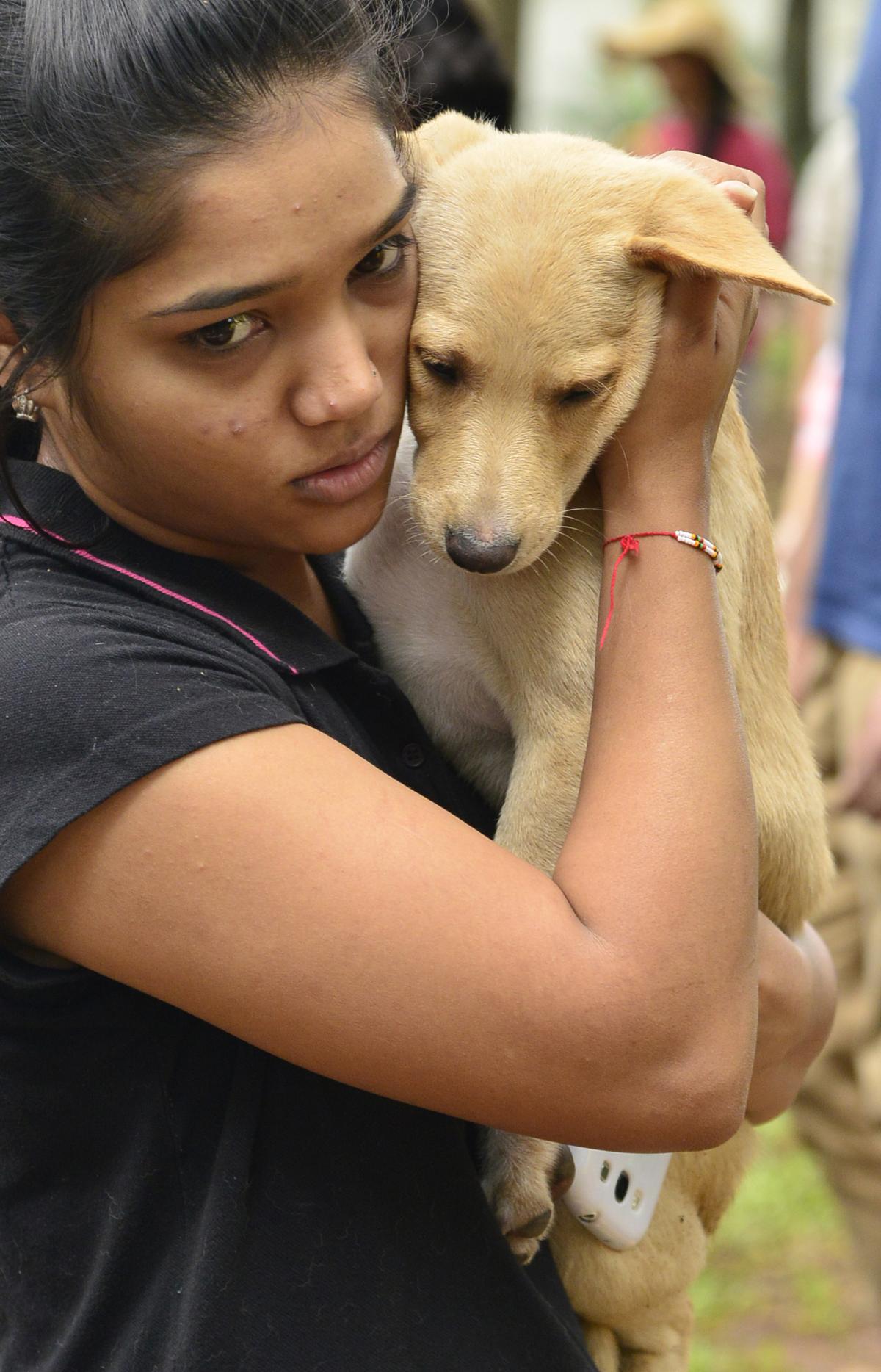 A snapshot from the Cubbon Dog Park in 2015