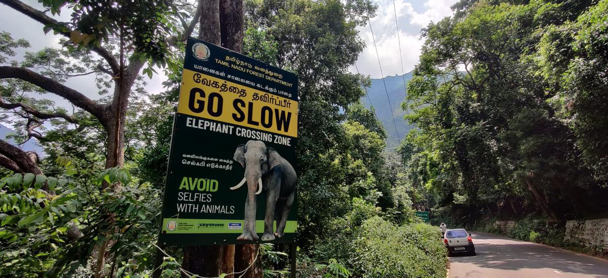 A signboard warning of elephant movement on the Mettupalayam - Udhagamandalam Road near Kallar in Coimbatore district. 