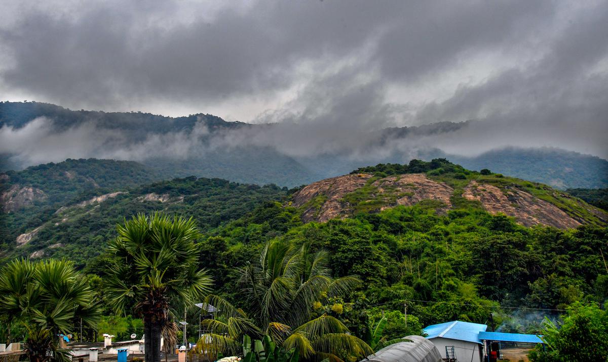 A view of Marika Hills from My Farm, a farm-to-fork set-up spread over a 100 acres farm area near Vepada, 60 kilometres from Visakhapatnam.  