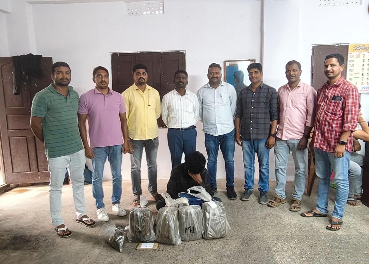 Rangareddy enforcement team arrested one Katta Ganesh and seized 7.75 kilograms of ganja during raids in LB Nagar Circle. 