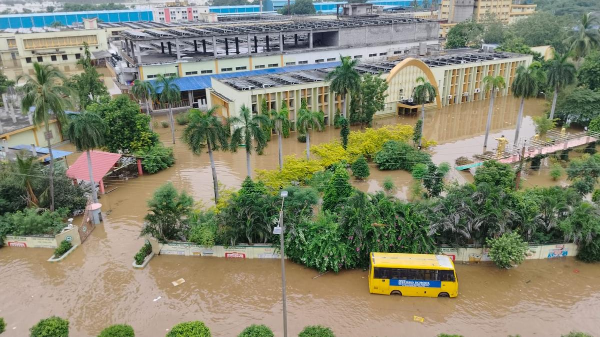 Andhra Pradesh rains | 17 deaths reported due to rains and floods in the State