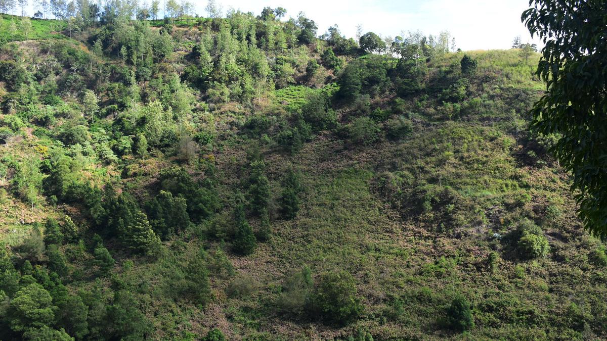 Eradication of exotic and invasive species from Western Ghats | Madras High Court judges hold meeting with T.N. officials