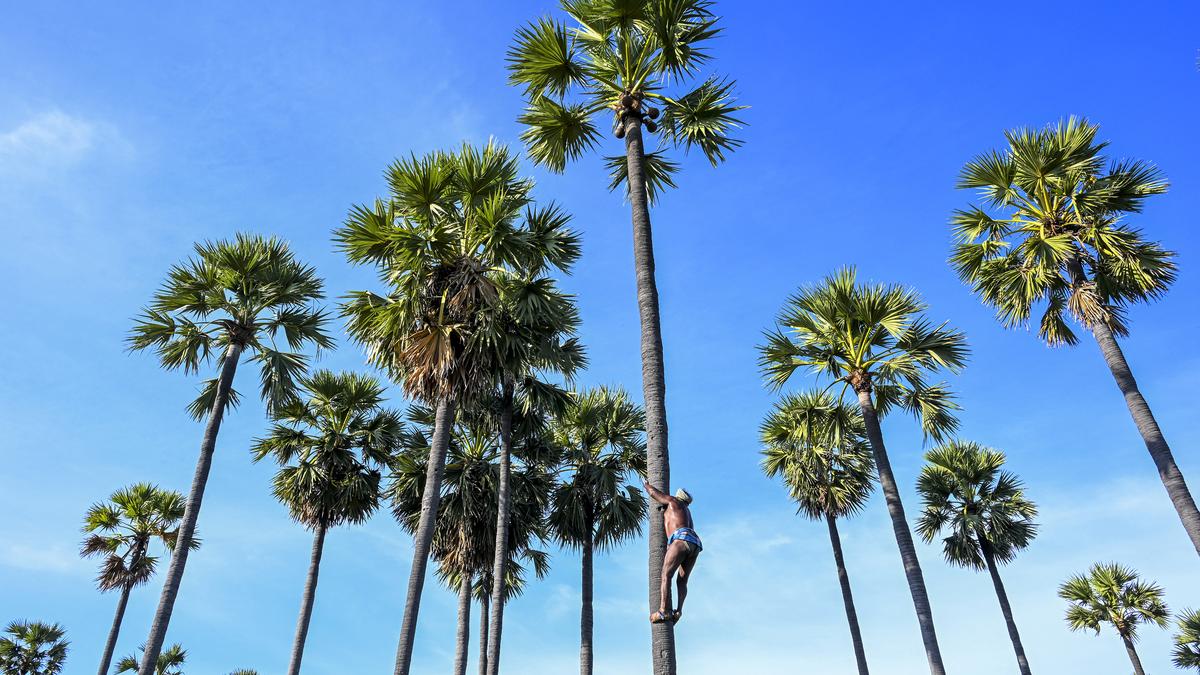 In frames | Sweet sorrow