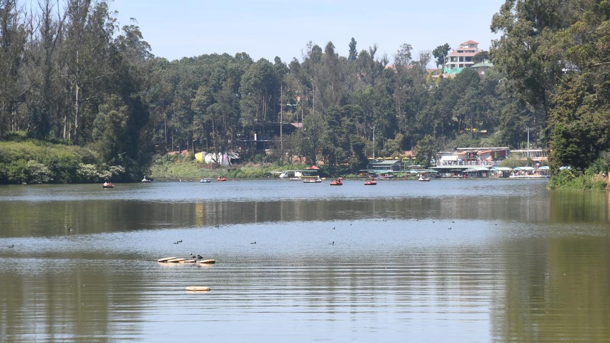 Boat races to be held in Ooty Lake