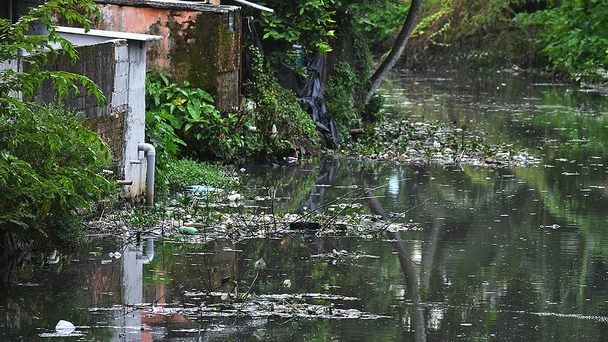 Untreated wastewater turns Edappally, Perandoor canals into stinking pit