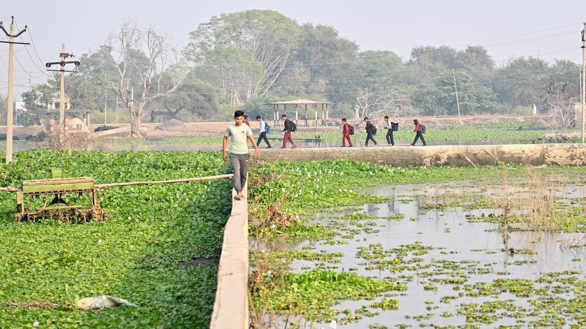 A wall that connects, in a flood that’s wrecked life and livelihood