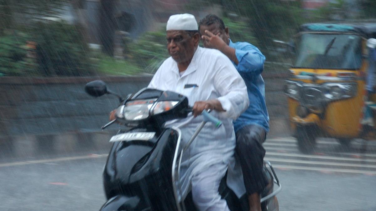 Five Telangana districts recorded large excess rainfall in August: IMD
