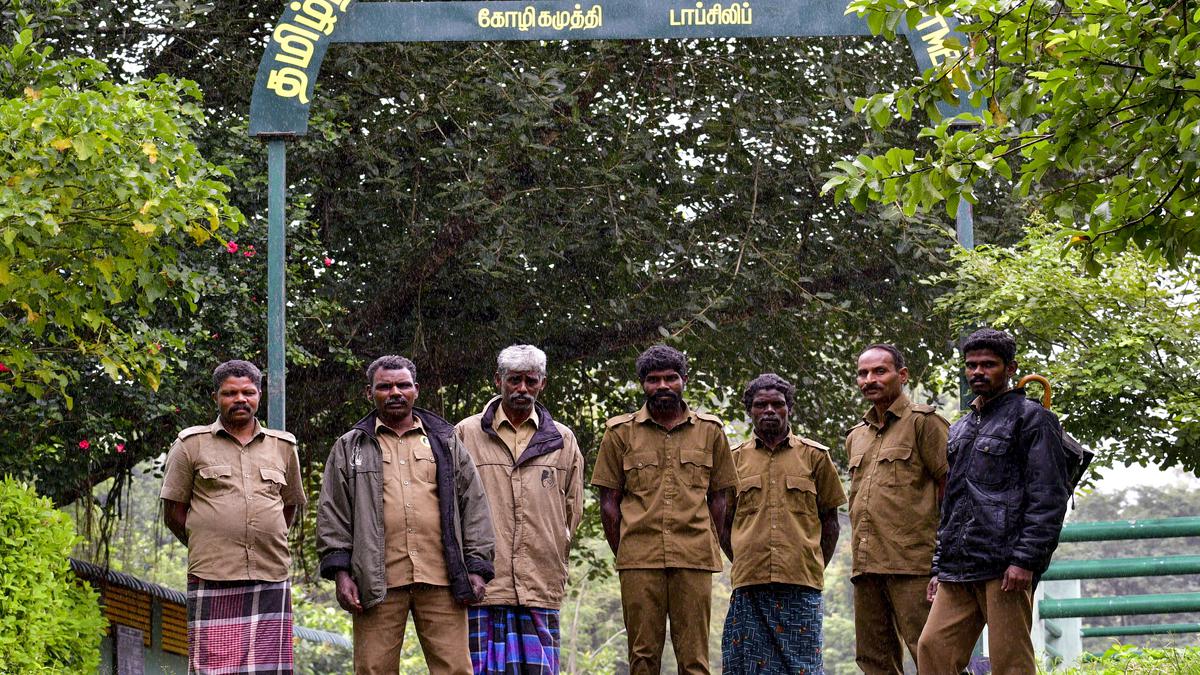 In Frames | At the elephant camp