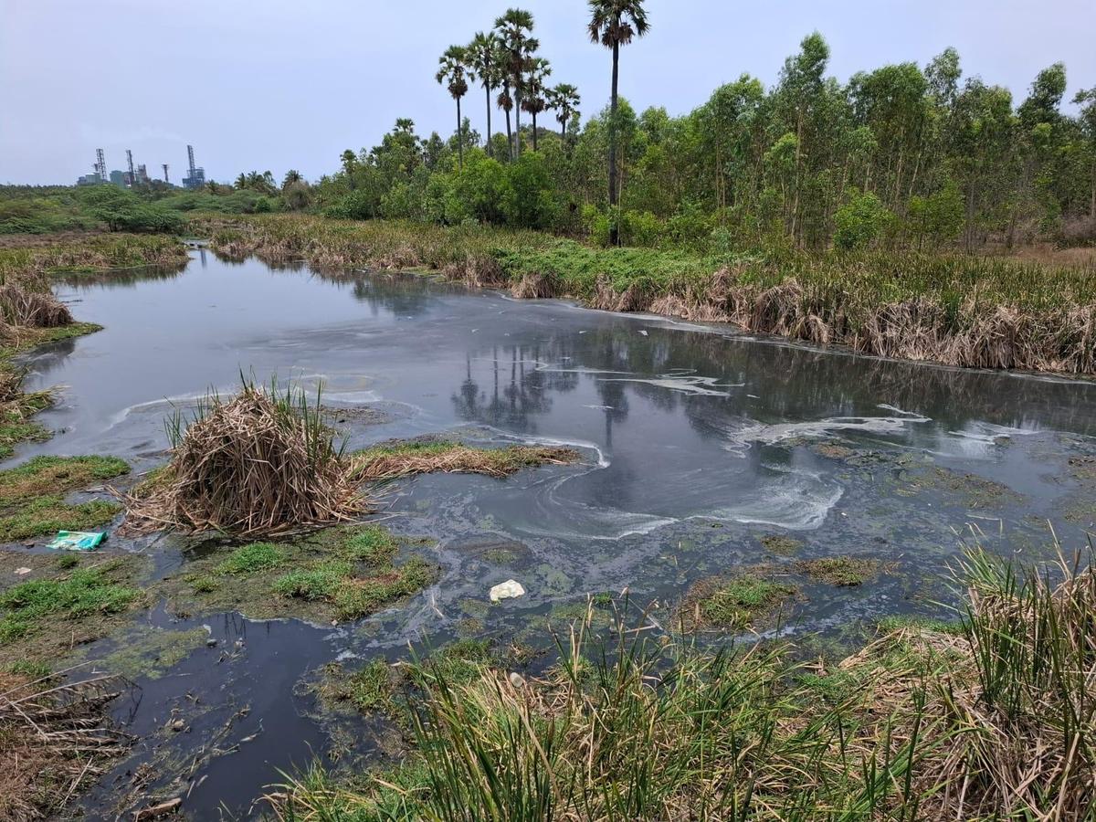 thehindu.com - The Hindu Bureau - HRF alleges unchecked industrial effluent discharge in Anakapalli district