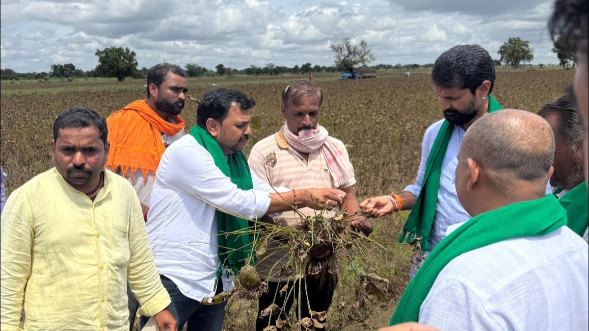 Change in leadership not enough, Congress should go: C.T. Ravi