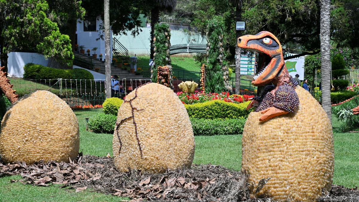 Tonnes of fruits recreate Jurassic world at Coonoor