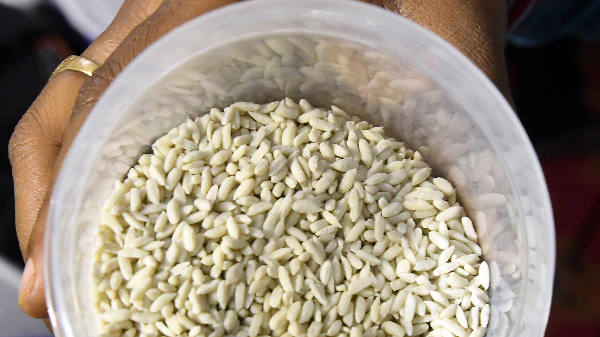 Congress questions the Modi government for rolling out fortified rice under National Food Security Act despite caution by experts