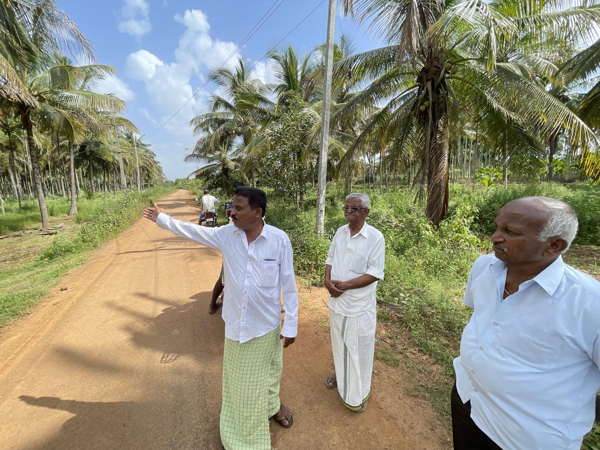 B.P. Chandrashekar and Govind Rao of Bennuru village and Lingaraju K.N. of Kaggere village showing the trees in a plantation that will have to be removed for the Hemavati Express Link Canal Project. 