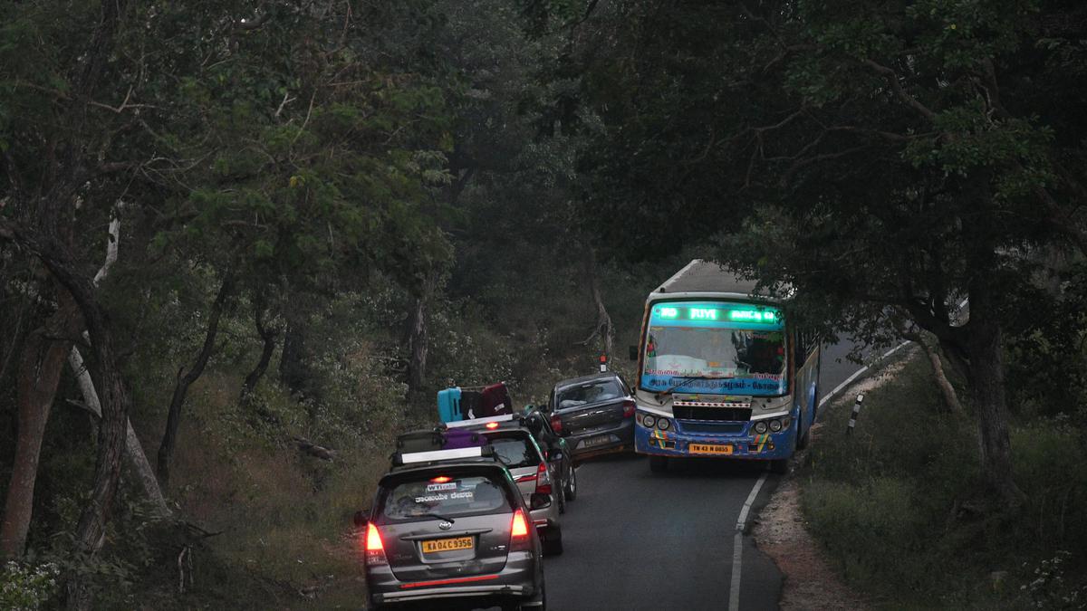 Nilgiris ghat road expansion | Madras High Court asks A-G to convene high-level meeting