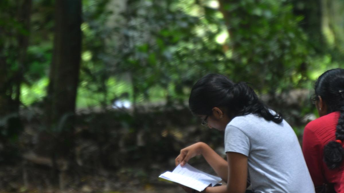 File affidavit in the plea challenging eligibility criterion: HC to NTA