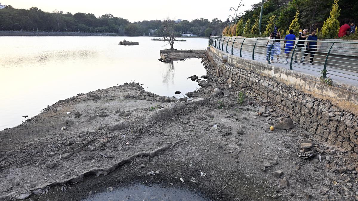 Water woes | Drought hits Sankey Tank in Bengaluru, most parts of the lake dry 
