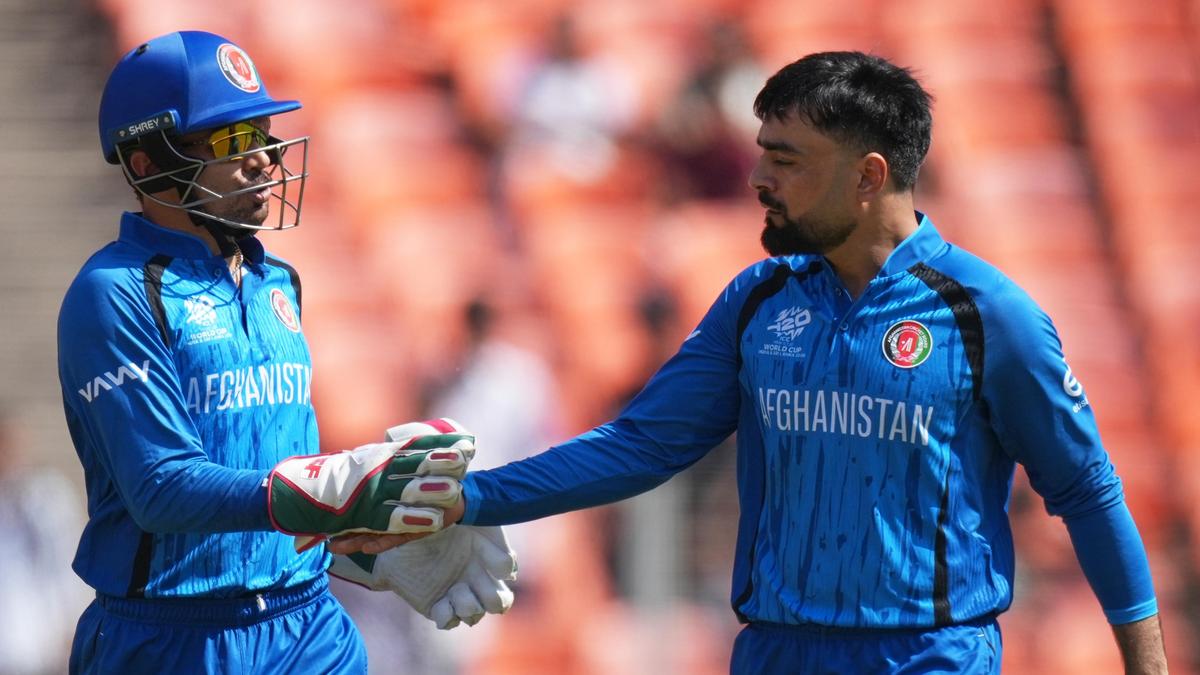 T20 World Cup | Mohammad Nabi still has a lot of cricket left in him: Afghanistan skipper Rashid Khan