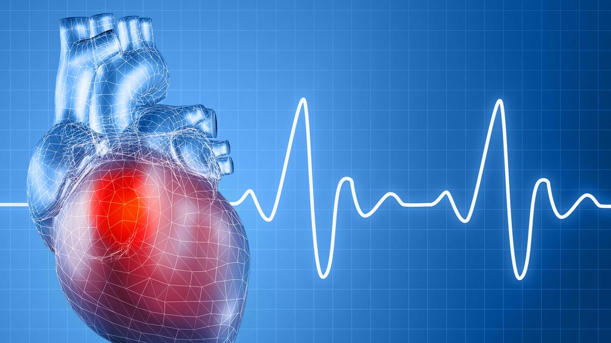 Building the heart’s endurance through cardiac rehabilitation Building the heart’s endurance through cardiac rehabilitation