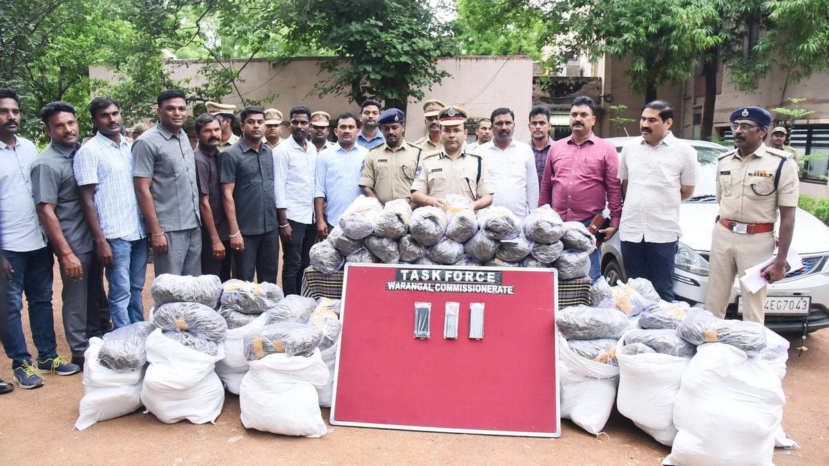 Two inter-state ganja peddlers arrested, 256 kg of weed worth ₹64 lakh seized  