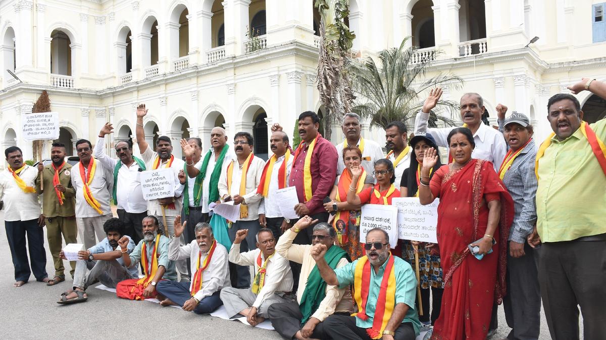 Activists protest lack of amenities at Chamundi Hills