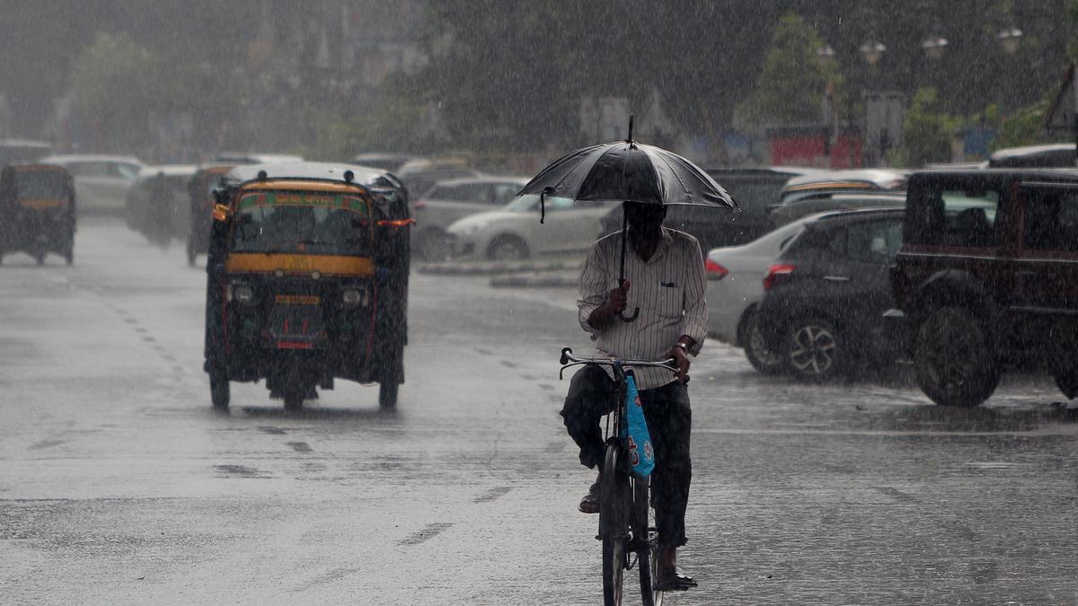 Four places in Odisha receive extremely heavy rainfall of above 20 cm: IMD