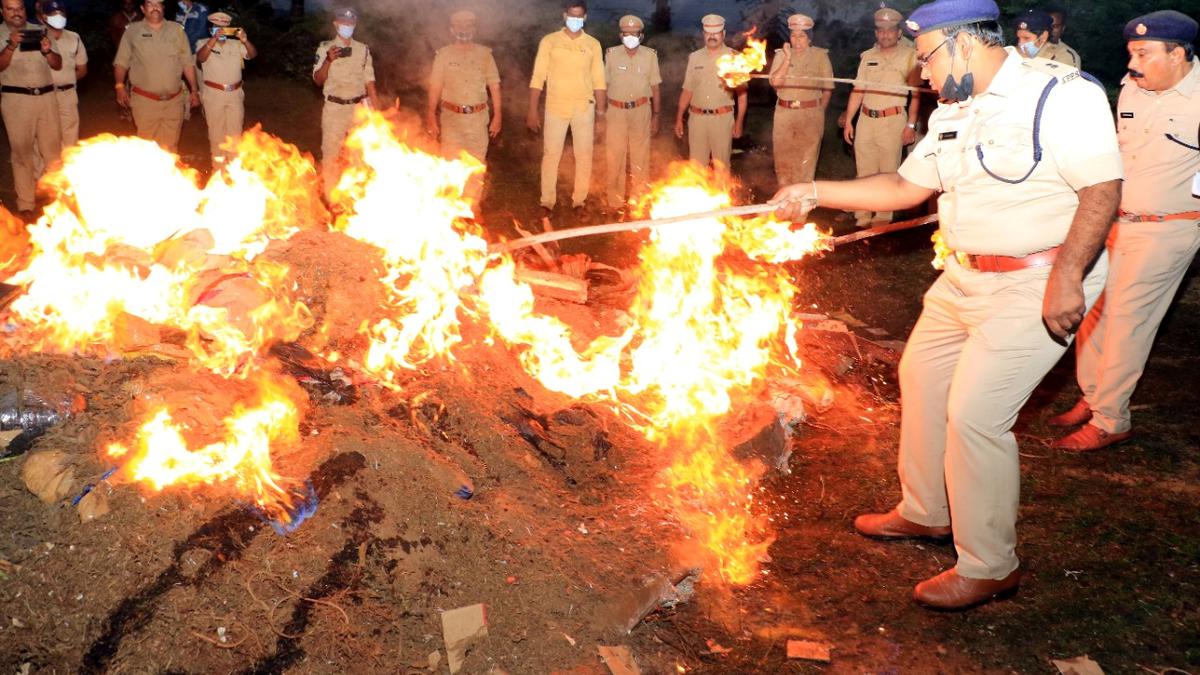 Police make a bonfire of over a tonne of seized ganja in Tirupati