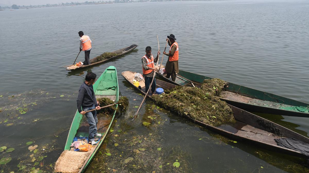 Dal Lake: a polluted wasteland that can no longer support native species
Premium