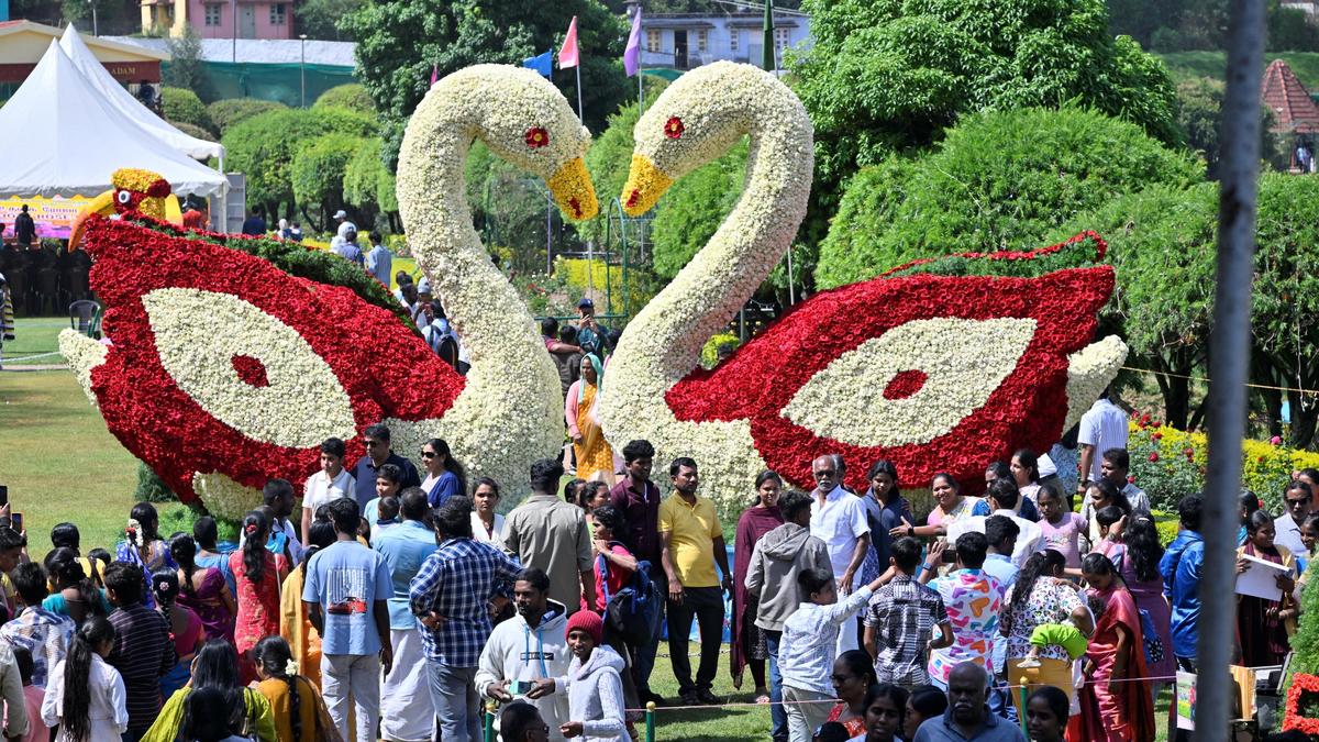 Rose Show inaugurated in Nilgiris