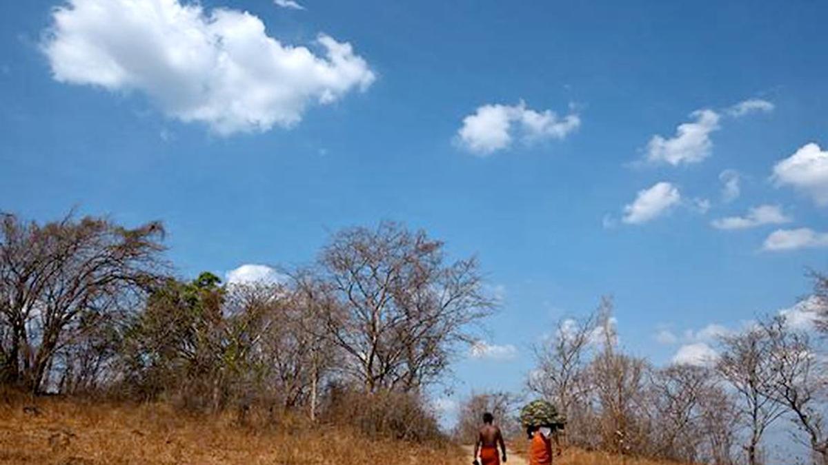 Kerala’s agriculture sector reels under severe rain deficit
