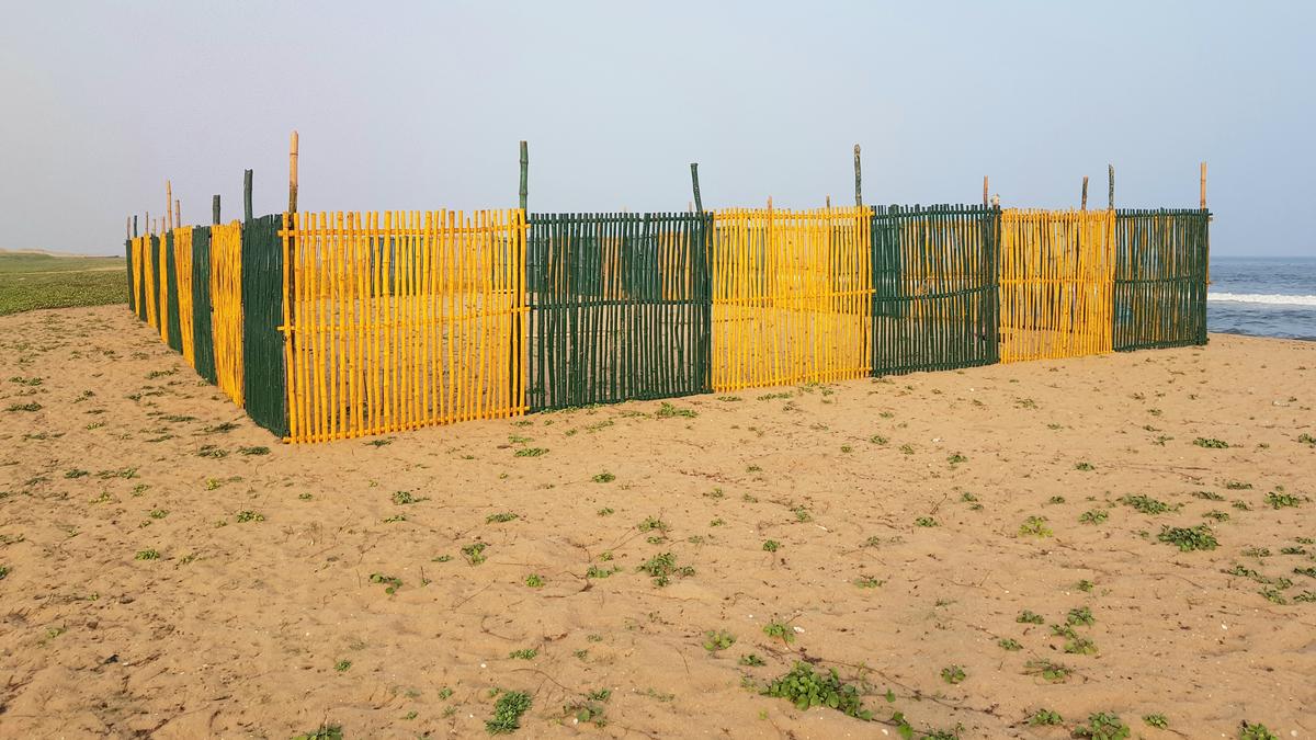 Tamil Nadu Forest Department sets up weather monitoring Olive Ridley hatcheries