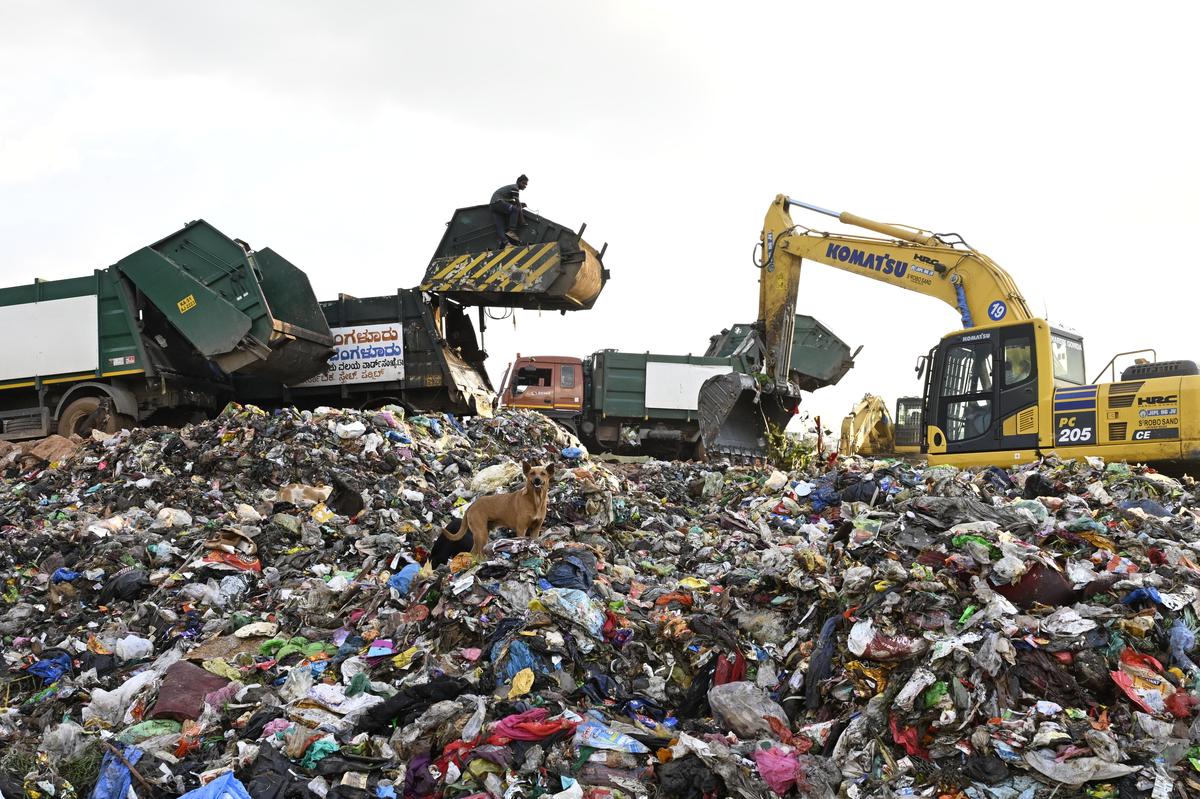 Improved waste segregation boosts RDF collection in Bengaluru, says BSWML -  The Hindu