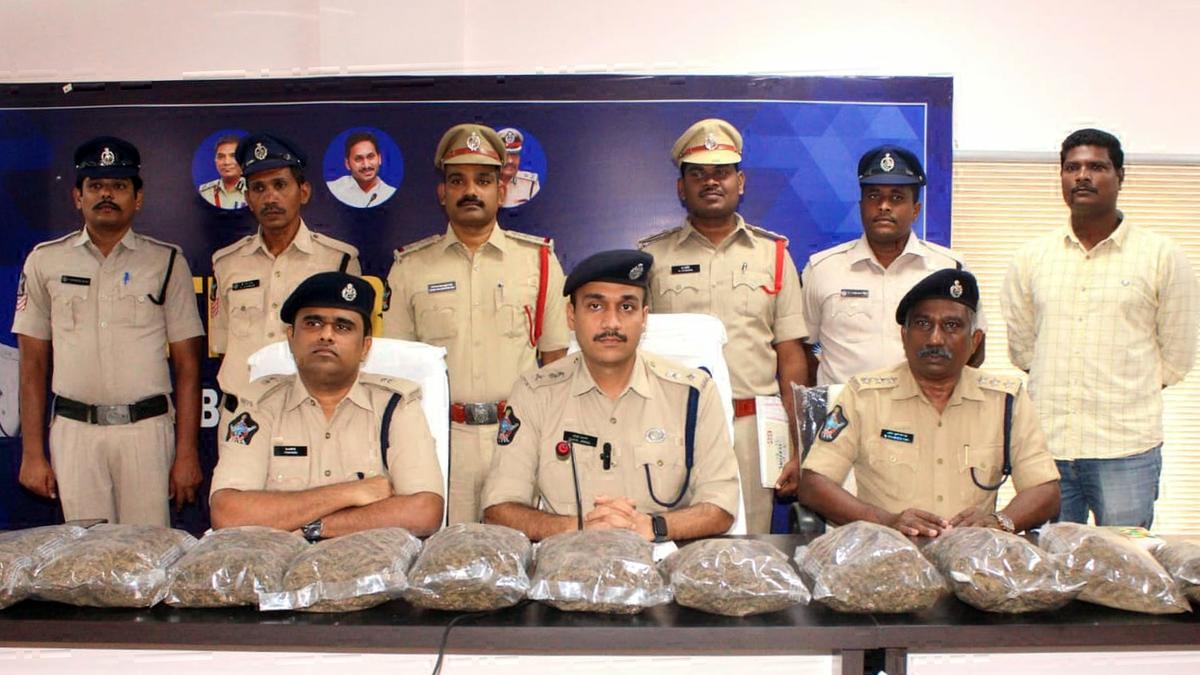 55 kg ganja seized, 26 arrested as Vetapalem police bust a racket