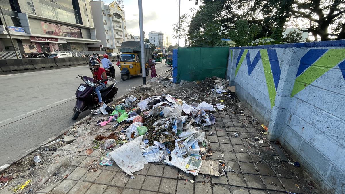 Black spots of Bengaluru refuse to go away, though official figures put it at just 74
Premium