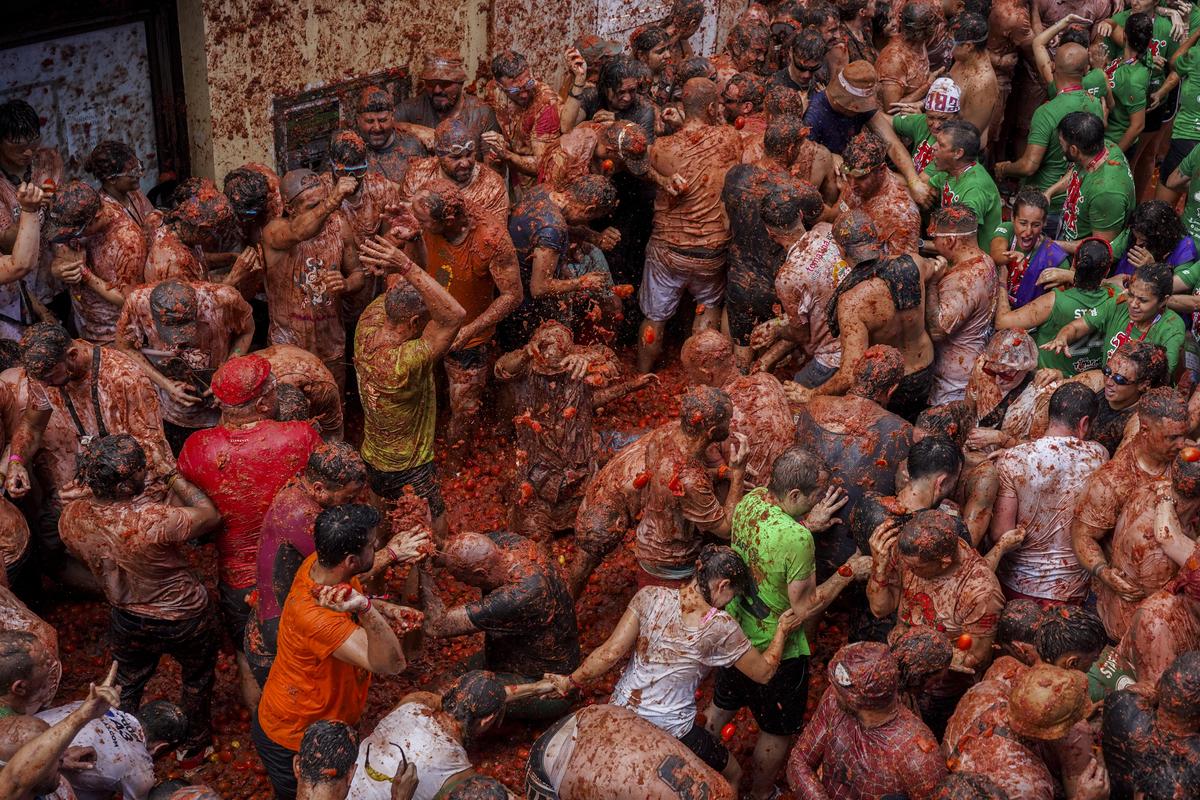 Spain Tomatina 58289