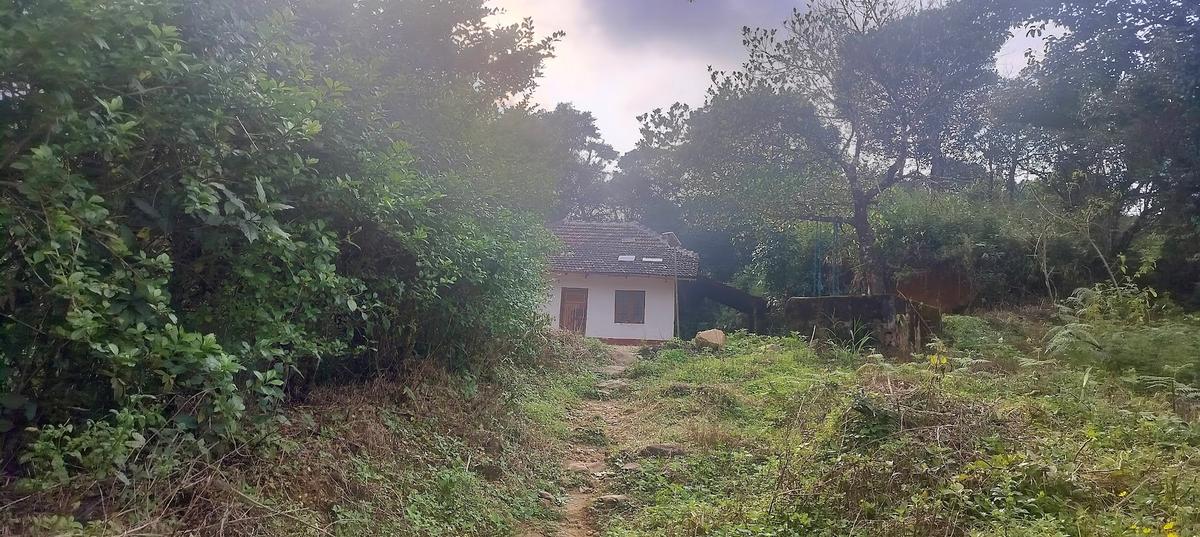 The residents of Bidarathala village in Mudigere taluk are seeking rehabilitation. Due to the frequent movement of wild elephants and other wild animals, they have not been able to cultivate their lands.