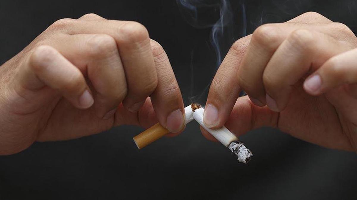 Quitting tobacco could give economic boost to over 20.5 million households in India: Analysis