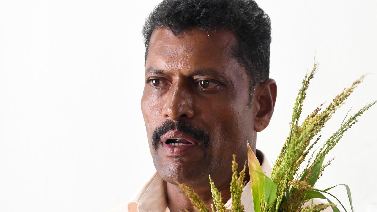 Agri. officials gave us fodder seeds instead of barnyard millet, allege farmers in Madurai