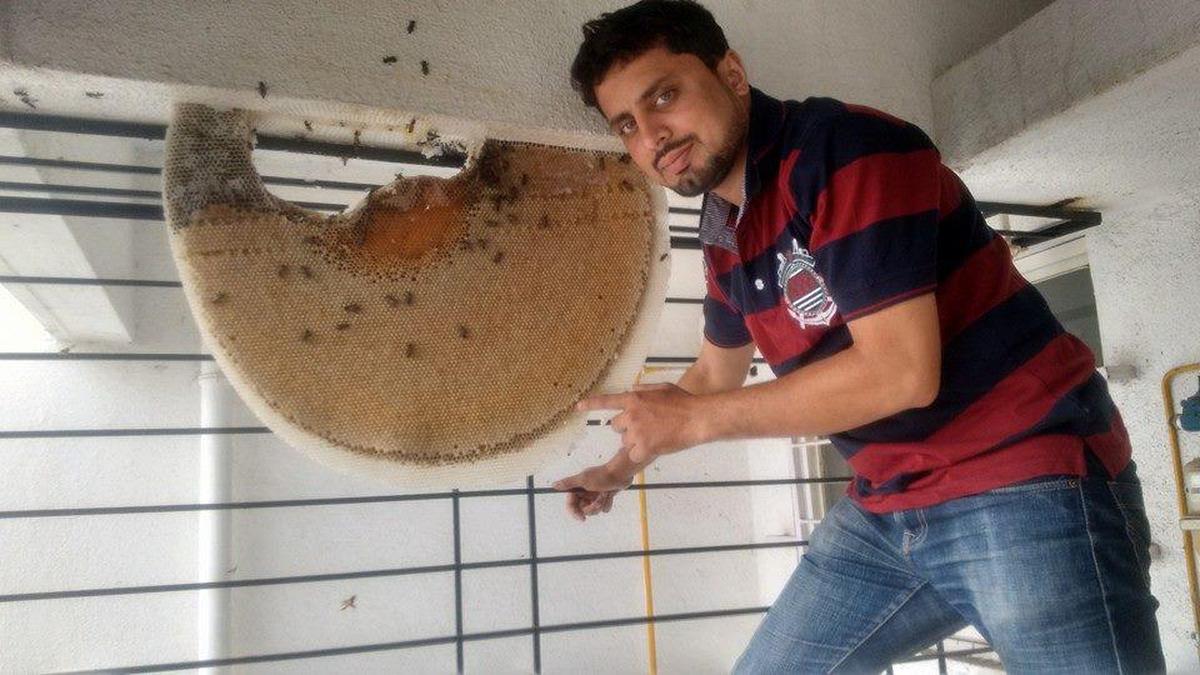 Amit Godse during a beehive relocation