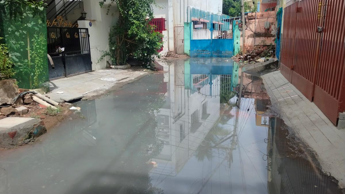 Residents of Arasan Nagar in Dindigul urge authorities to take steps to arrest overflow of sewage