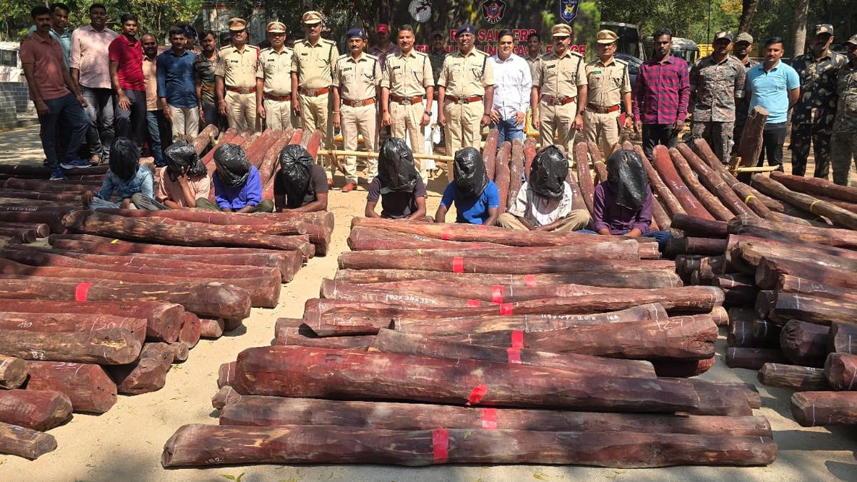 Red sanders logs worth ₹4.2 crore seized in Annamayya district, eight from Tamil Nadu held