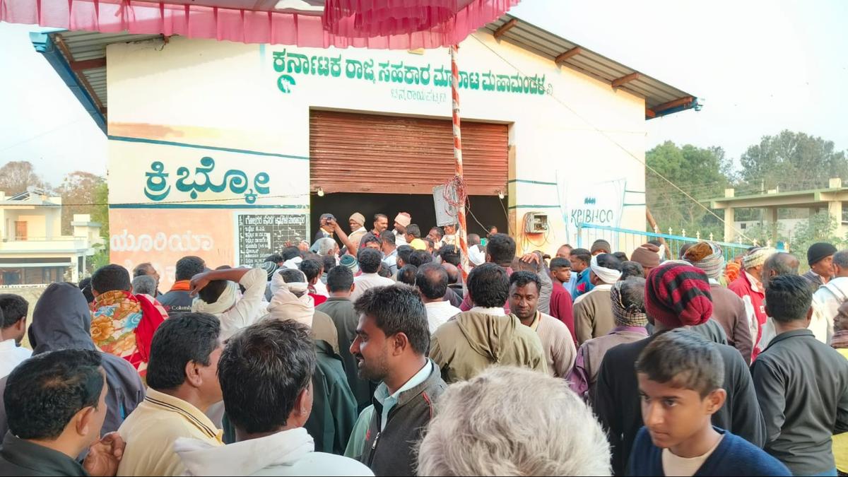 Watch | Hundreds of coconut growers stand in queue overnight to register for copra procurement in Hassan district of Karnataka