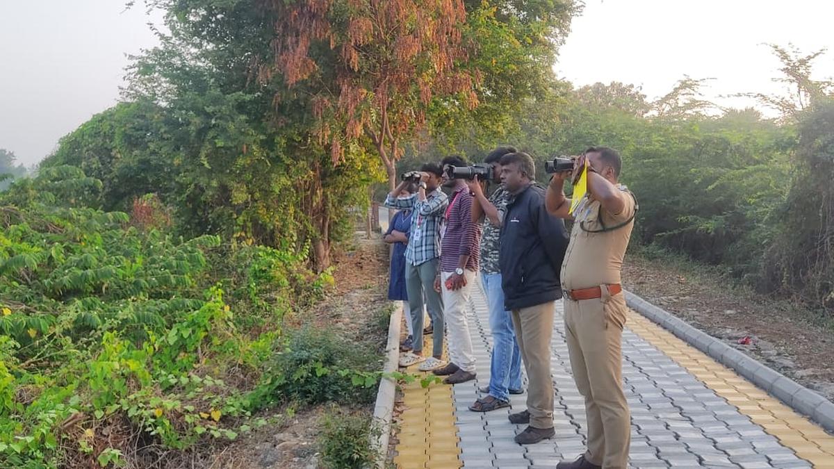 Two-day synchronised bird census begins in Erode