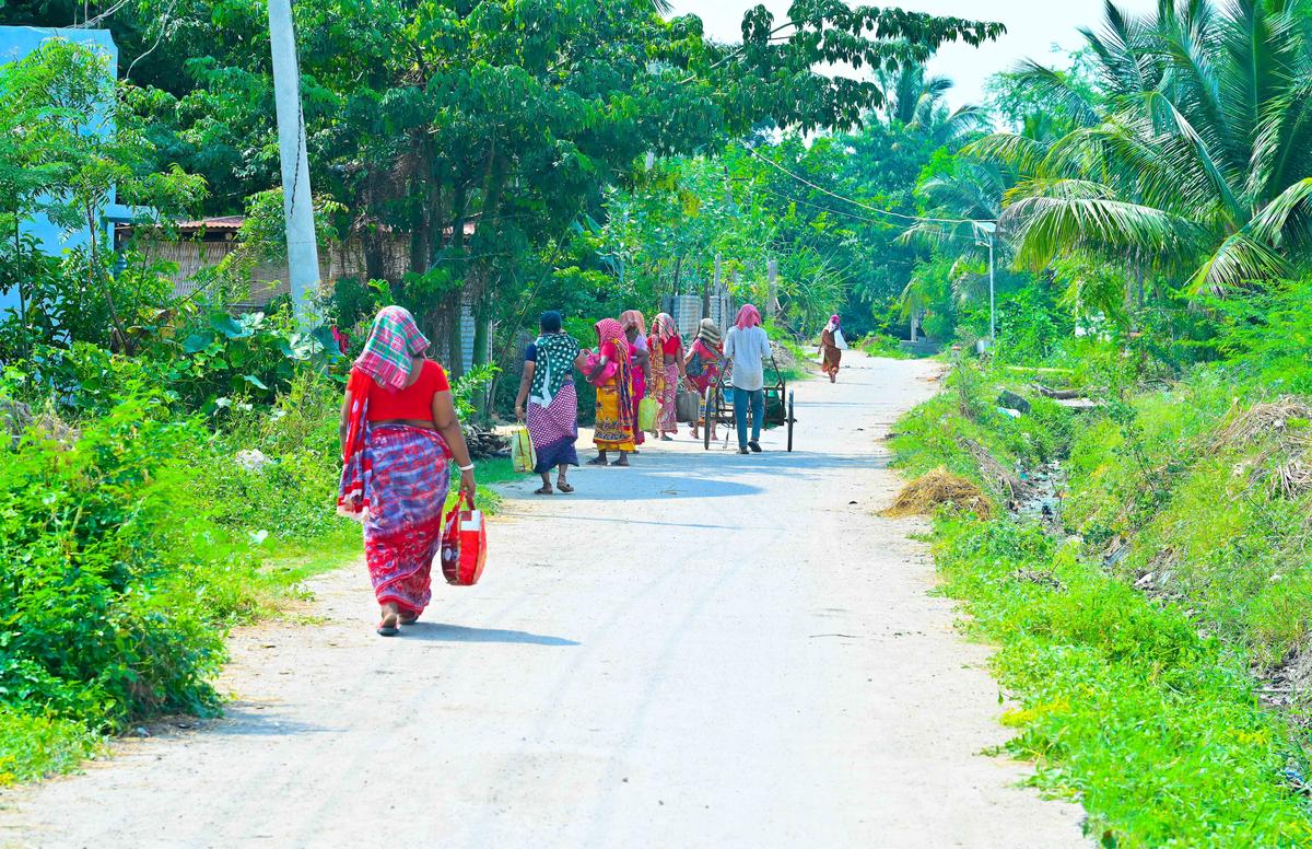 पुनर्वास शिविर 2 में रह रहे बांग्लादेशी शरणार्थी फार्महैंड के रूप में काम करने जा रहे हैं।