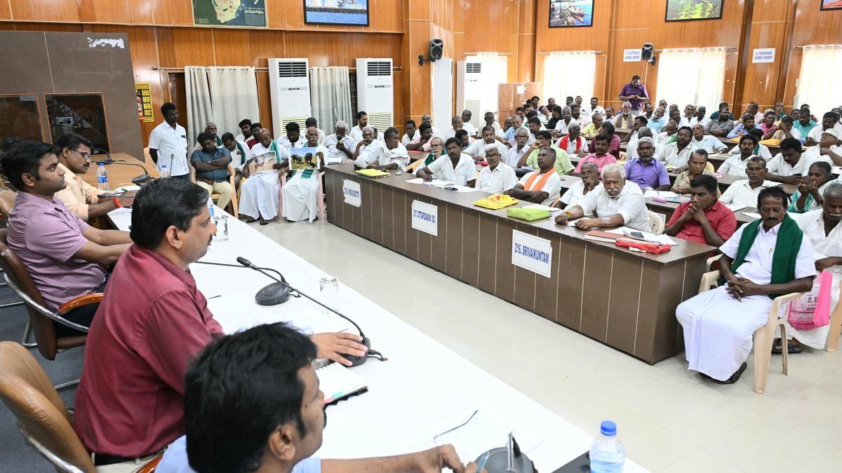 Farmers want ‘tall-cross-dwarf’ variety of coconut saplings at subsidised rate