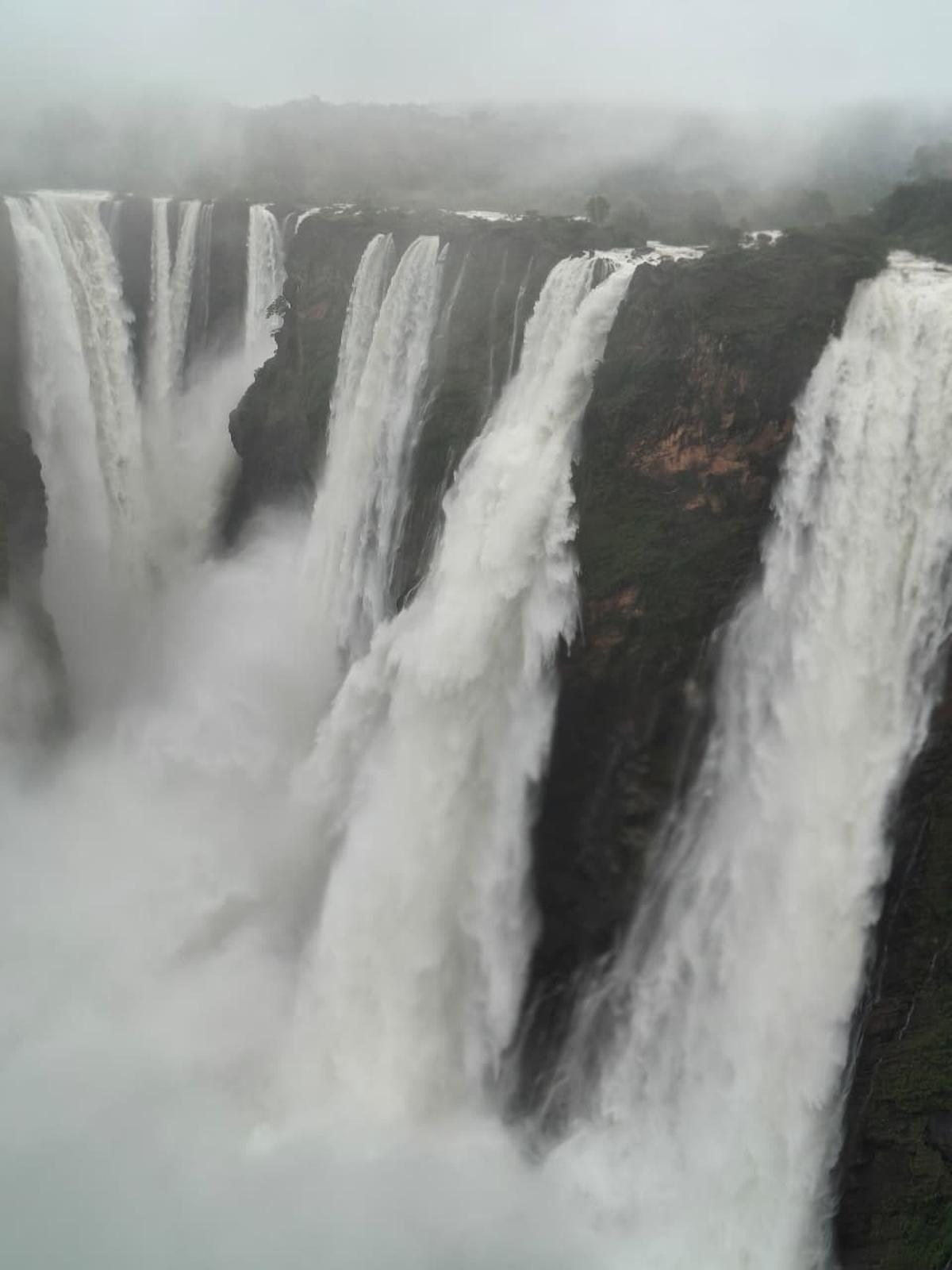 Jog Falls gains vigour due to heavy rains in Sagar taluk. There has also been an increase in the outflow from Linganmakki Dam. 