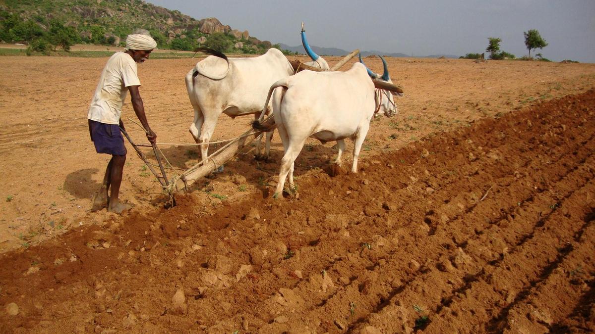 12 arrested for murder of six persons over land dispute in Vijayapura district of Karnataka
